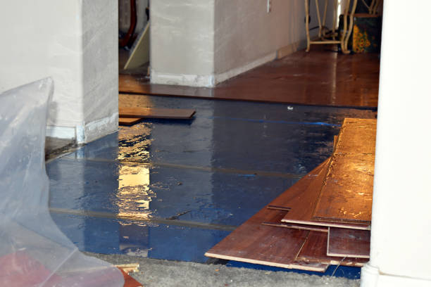 Professional Flood Cleanup technician working in Sidney, IL
