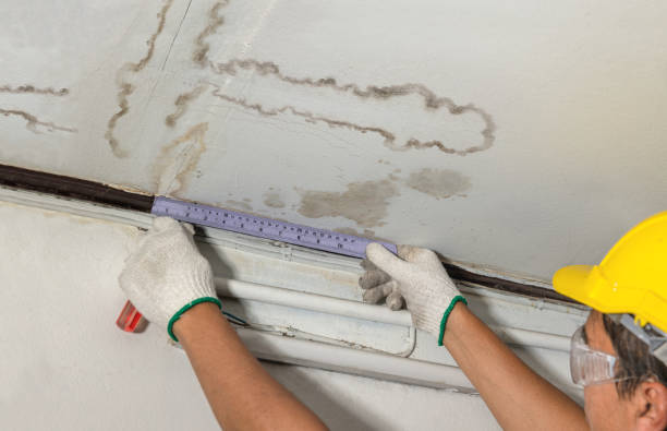 Reliable Flood Cleanup contractor in Sidney, IL by Water Damage Irwin